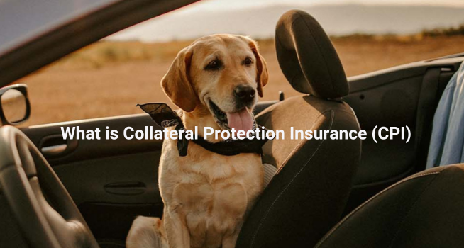 What is Collateral Protection Insurance